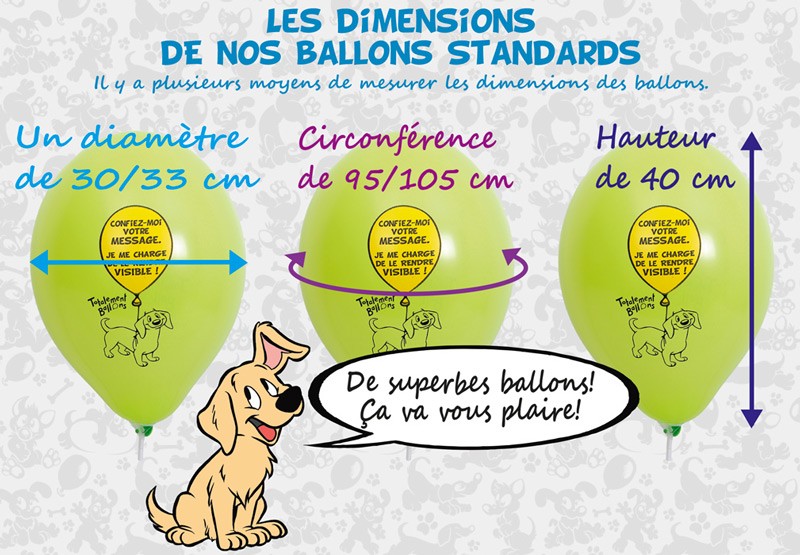 Les mesures de nos ballons standards