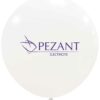 Previsualisation-Pezant-Electricite-ballon-geant-05062023